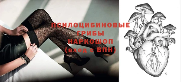 стафф Каменногорск