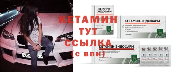 стафф Каменногорск