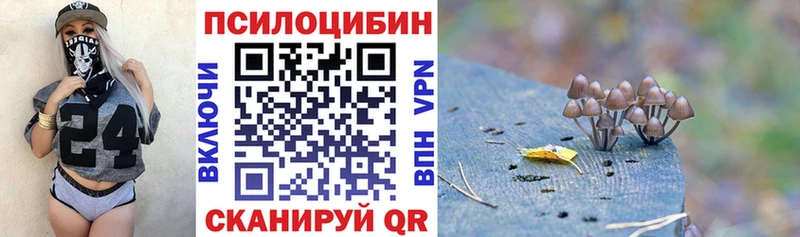 мориарти телеграм  Кириллов  Галлюциногенные грибы Psilocybe  где купить  