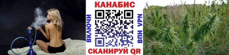 Бошки Шишки тримм  omg вход  Кириллов 